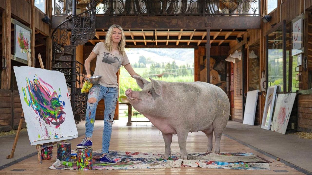 弗朗斯胡克 Inspiring Farm Sanctuary And Famous Painting Pig酒店 外观 照片